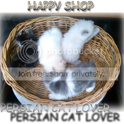 LOGOPERSIANCATLOVER.jpg