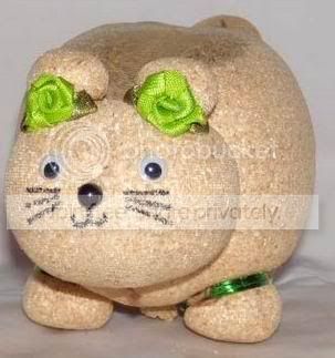 kucing.jpg