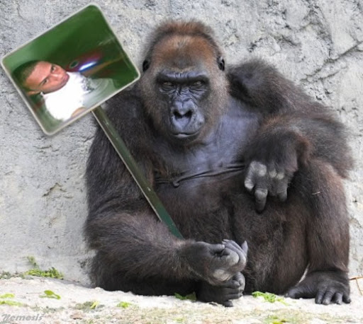 aan-de-kingkong.JPG