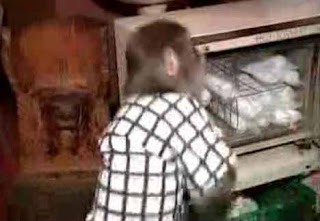 monkey_waiter_6.jpg