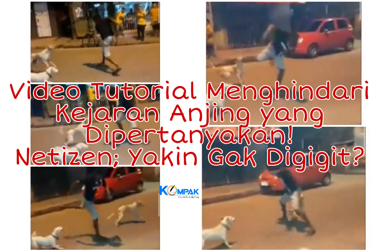 Video Tutorial Menghindari Kejaran Anjing yg Dipertanyakan! Netizen; Yakin Aman?