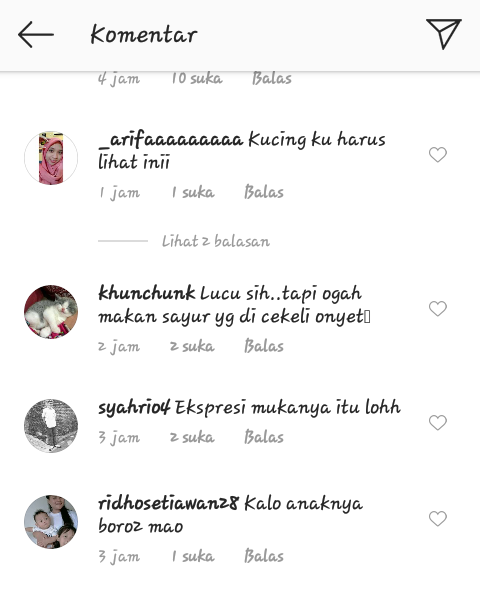 Bantu Majikan Di Dapur Monyet Satu Ini Bikin Gemes Netizen