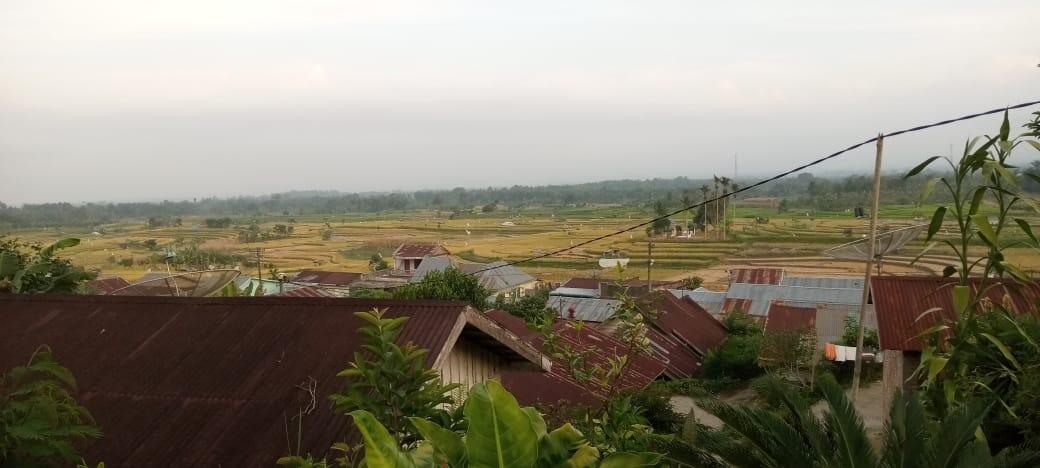 Kerinduan Kering Kampung Halaman Tersayang