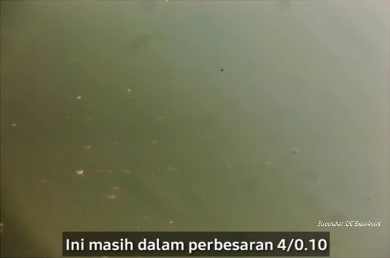 Ada Milyaran Kehidupan pada Selembar Uang Kertas