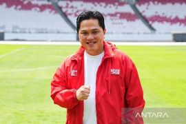 Harta kekayaan Erick Thohir berdasarkan data LHKPN
