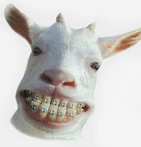 Smiles.jpg