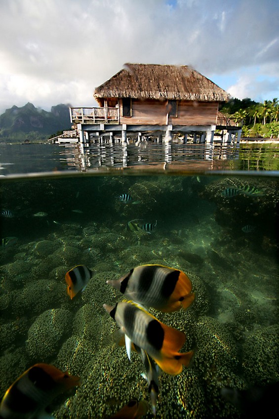 bora-bora-photos05.jpg