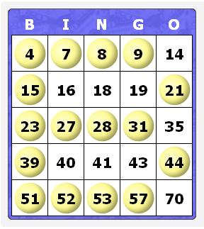 bingo.jpg