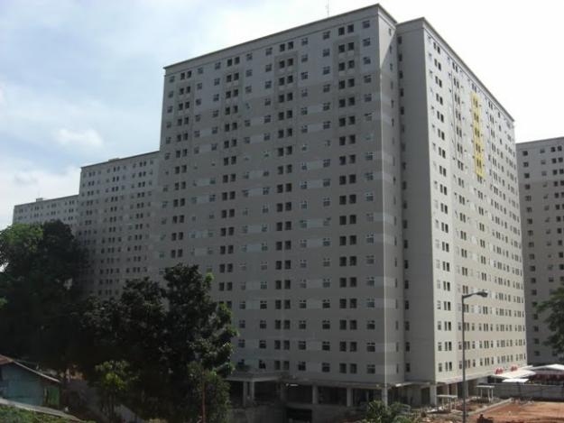 217.jpg