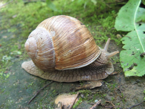 912735946_b253cb489c.jpg