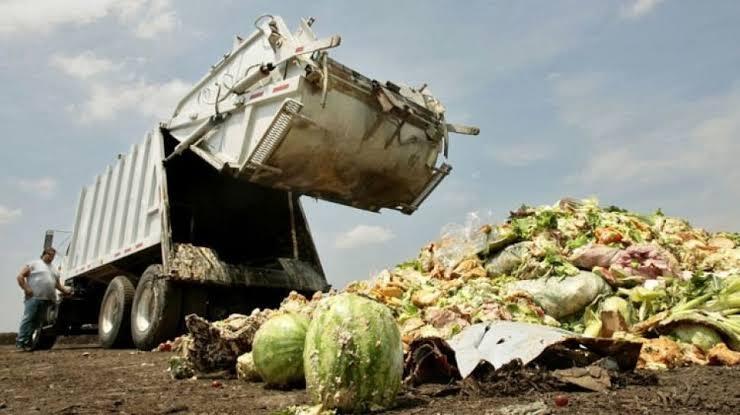 Bahayanya Sampah Makanan Untuk Kehidupan!