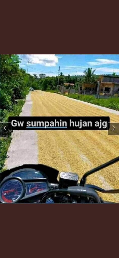 Jemur Padi Ditengah Jalan!! Auto Sumpah Serapah