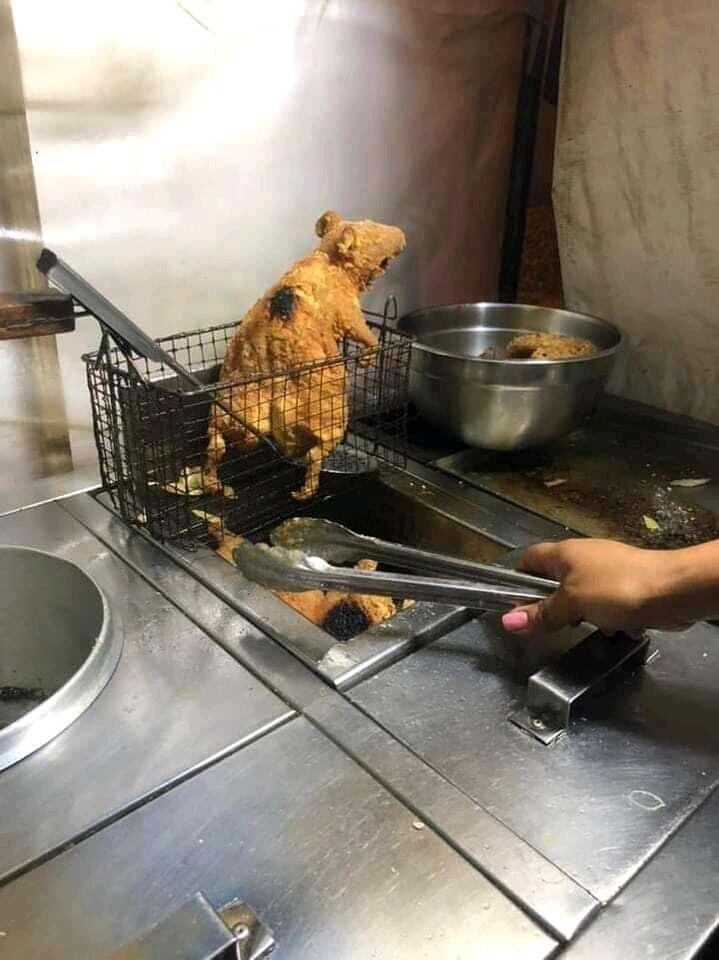 Makanan protein tinggi