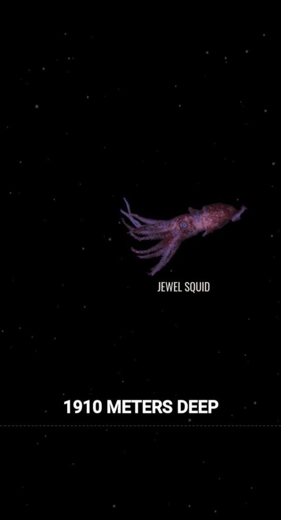 Ini Dia Ilustrasi Dalamnya Laut yg Begitu Menyeramkan [Warning : Sangat Dalam]