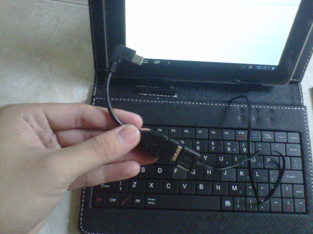 IMG01894_20120723_1631.jpg