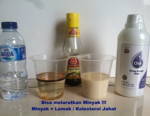 strong-kangen-water-ph11-5-500x387.jpg