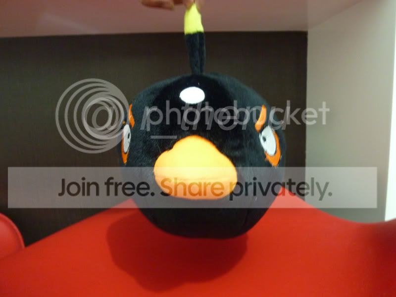 BlackAngryBird-1.jpg