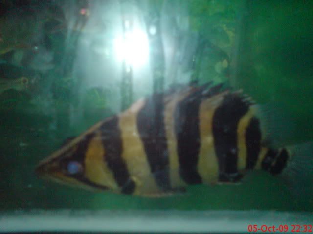 d48b80e8.jpg