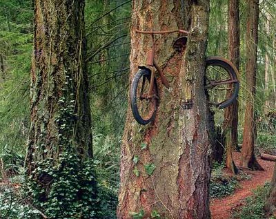 1biketree.jpg
