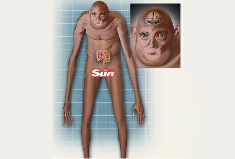 SYoz.jpg