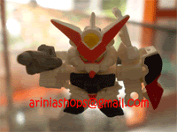PA041021.gif