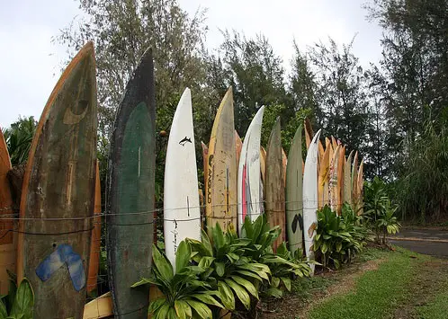 surf-board-fence.jpg