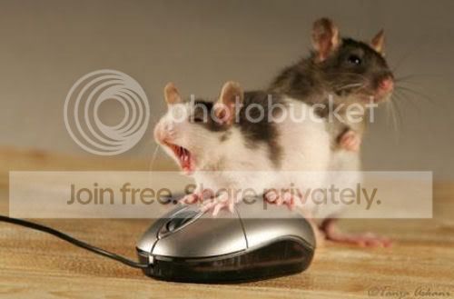 Threesome.jpg