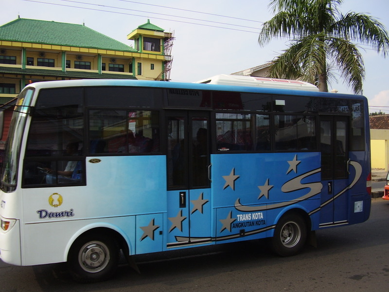 trFv5.jpg