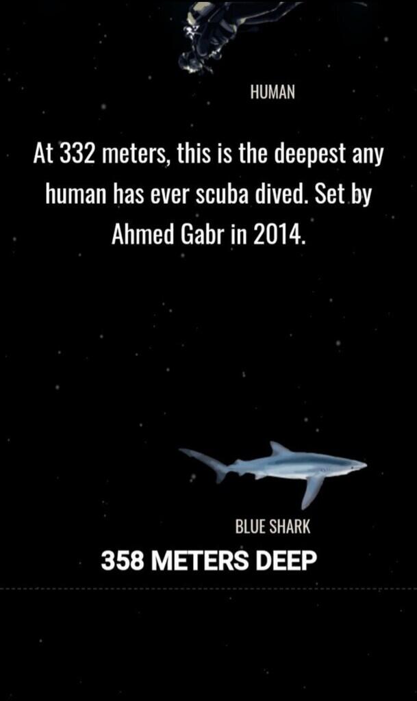 Ini Dia Ilustrasi Dalamnya Laut yg Begitu Menyeramkan [Warning : Sangat Dalam]