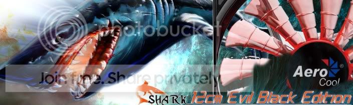 shark12ora1.jpg
