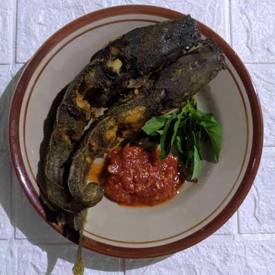 REKOMENDASI MAKANAN INDONESIA UNTUK BULE PEMULA