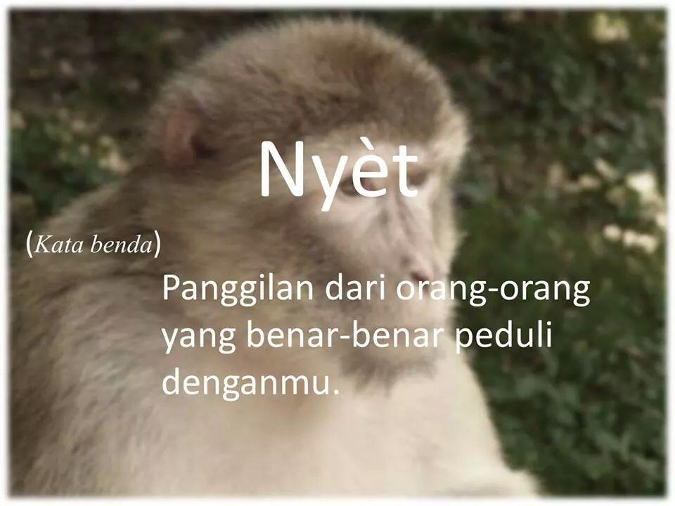 14 Panggilan Tergokil Antar Teman, Agan yg Mana?