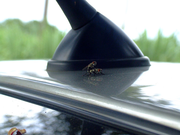 image012.jpg