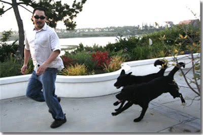 dog_chase_man1.jpg