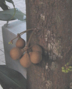 cb007819799797.gif
