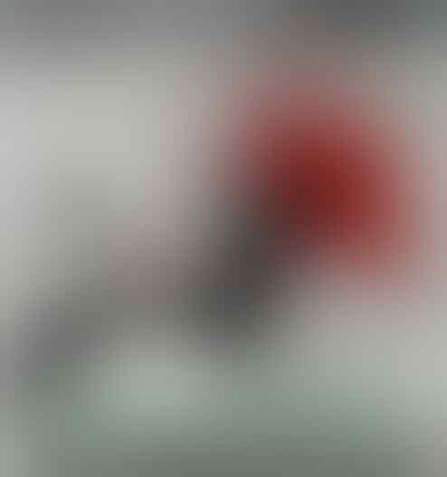 10375840_202404280853360416.jpg