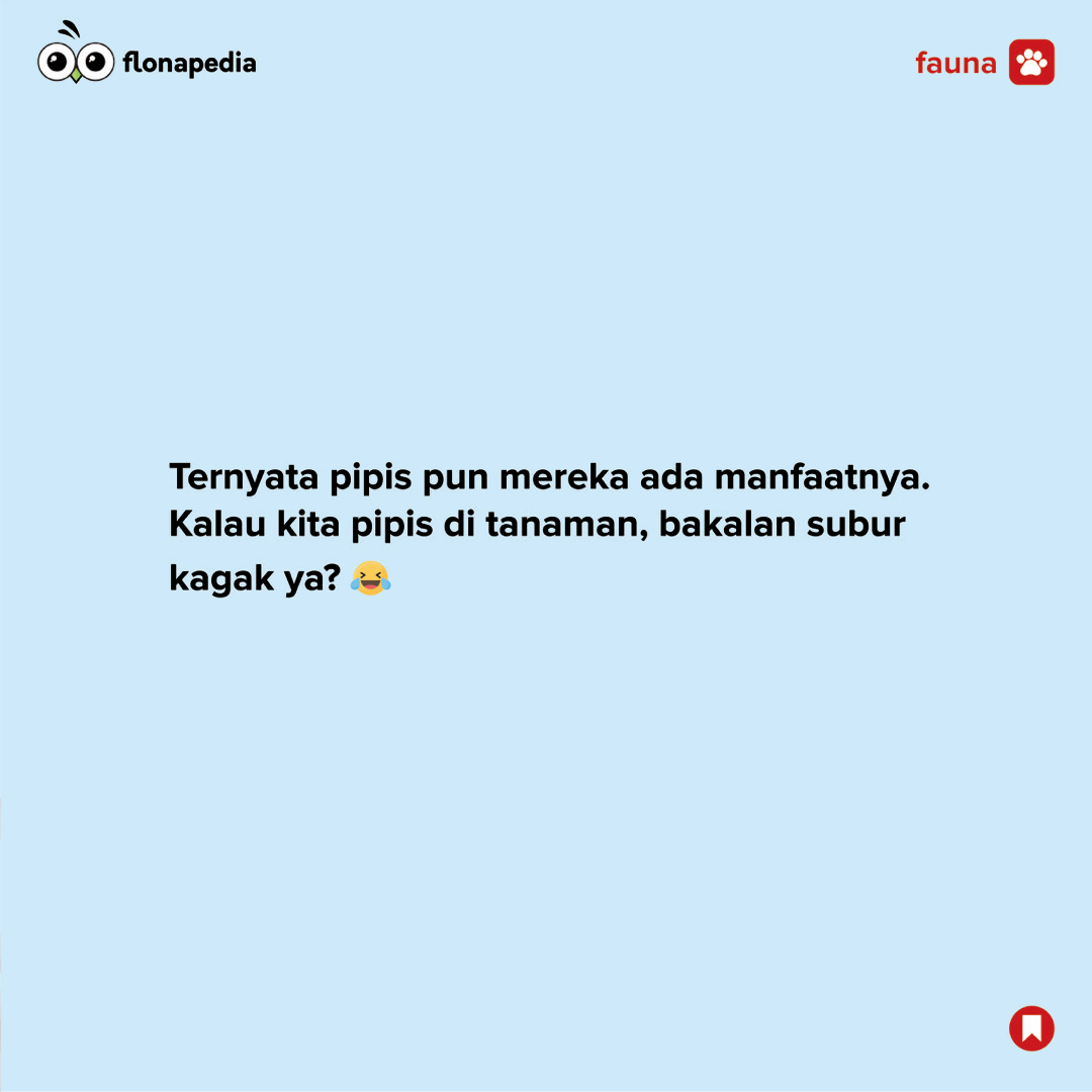 Apakah Hewan Laut Itu Pipis?