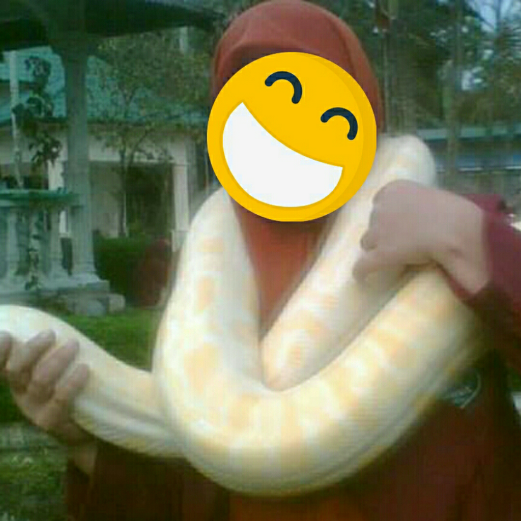 Berikut Beberapa Hal yg Unik, Aneh, Seram & Nyata! 