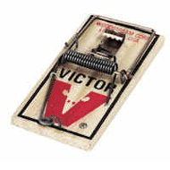 victor_rat_trap_BIG.gif