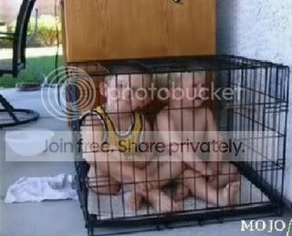 badparent9.jpg