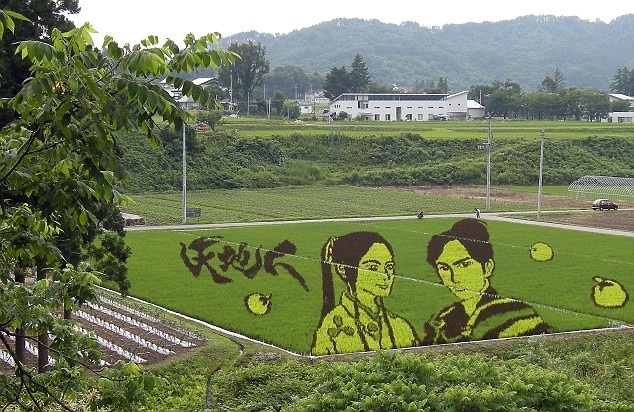 rice-paddy-art.jpg