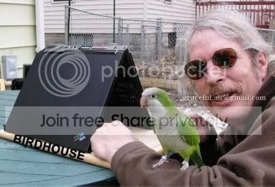 burung.jpg