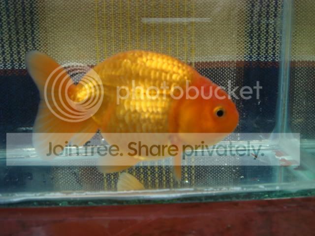 DSC01504.jpg