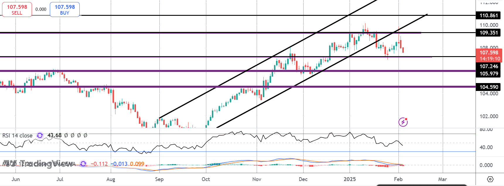 dxy1-(10).png