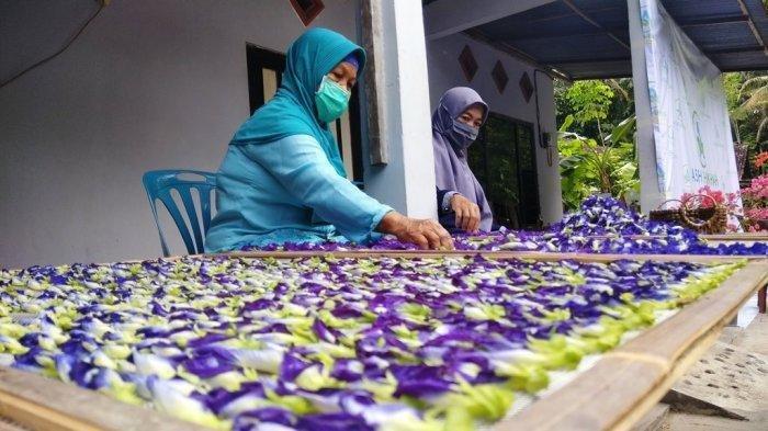 Jual Bunga Kering Jadi Cuan , Kok Bisa?
