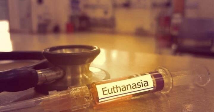 Demi Urusan Medis, Mending Melegalkan Euthanasia atau Ganja? #RabuRandom