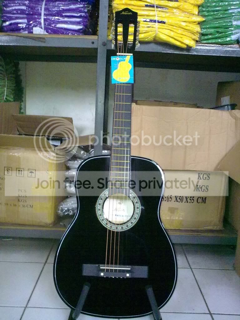 kapok9155-1.jpg