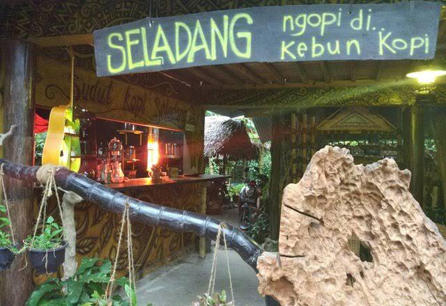 Seladang | Sensasi Ngopi Langsung DiKebunnya