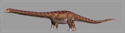 Top 20 Abnormally Large Animal That Really Exist