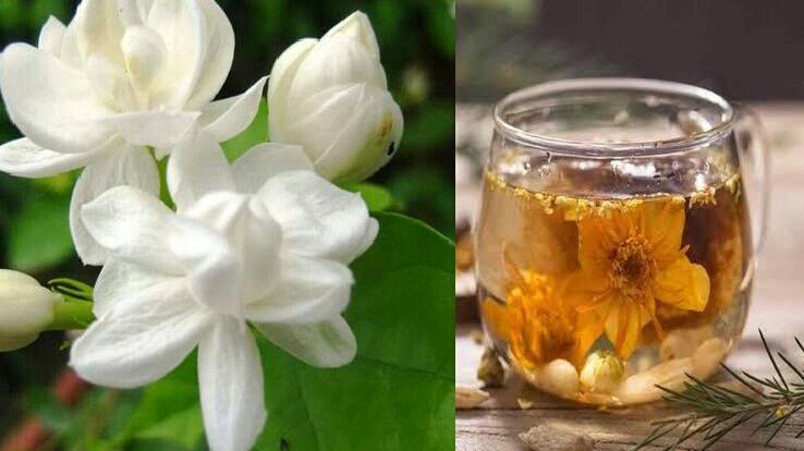 Bunga Melati Penuh Manfaat untuk kesehatan & Kecantikan